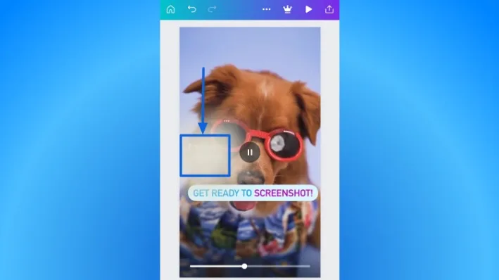 How to Remove TikTok Watermark5