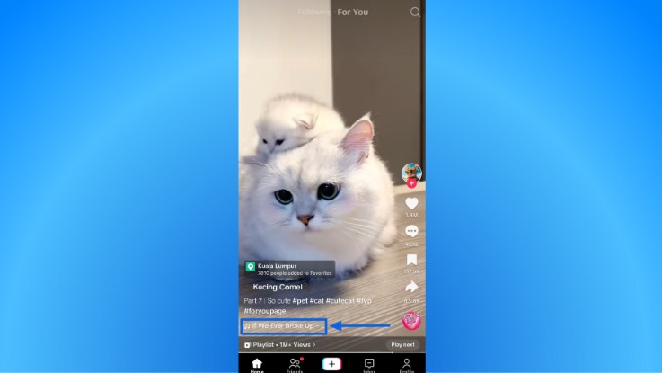 TikTok Algorithm 2023 1