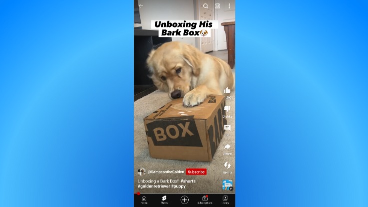 YouTube Shorts Ideas8