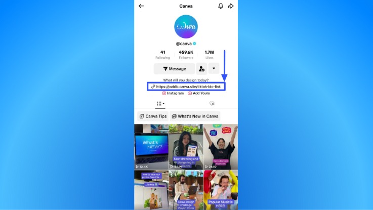 How to Put a Link in TikTok Bio3