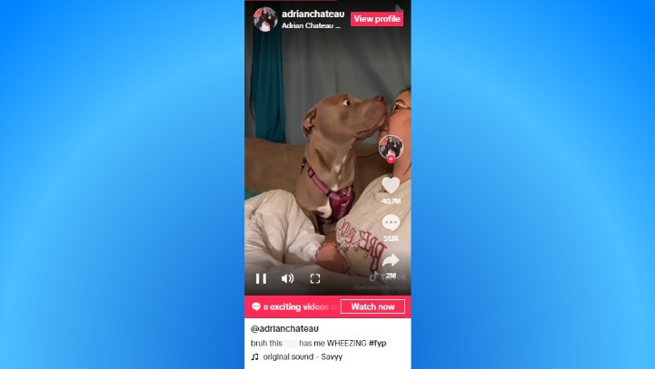 How to Go Viral on TikTok4