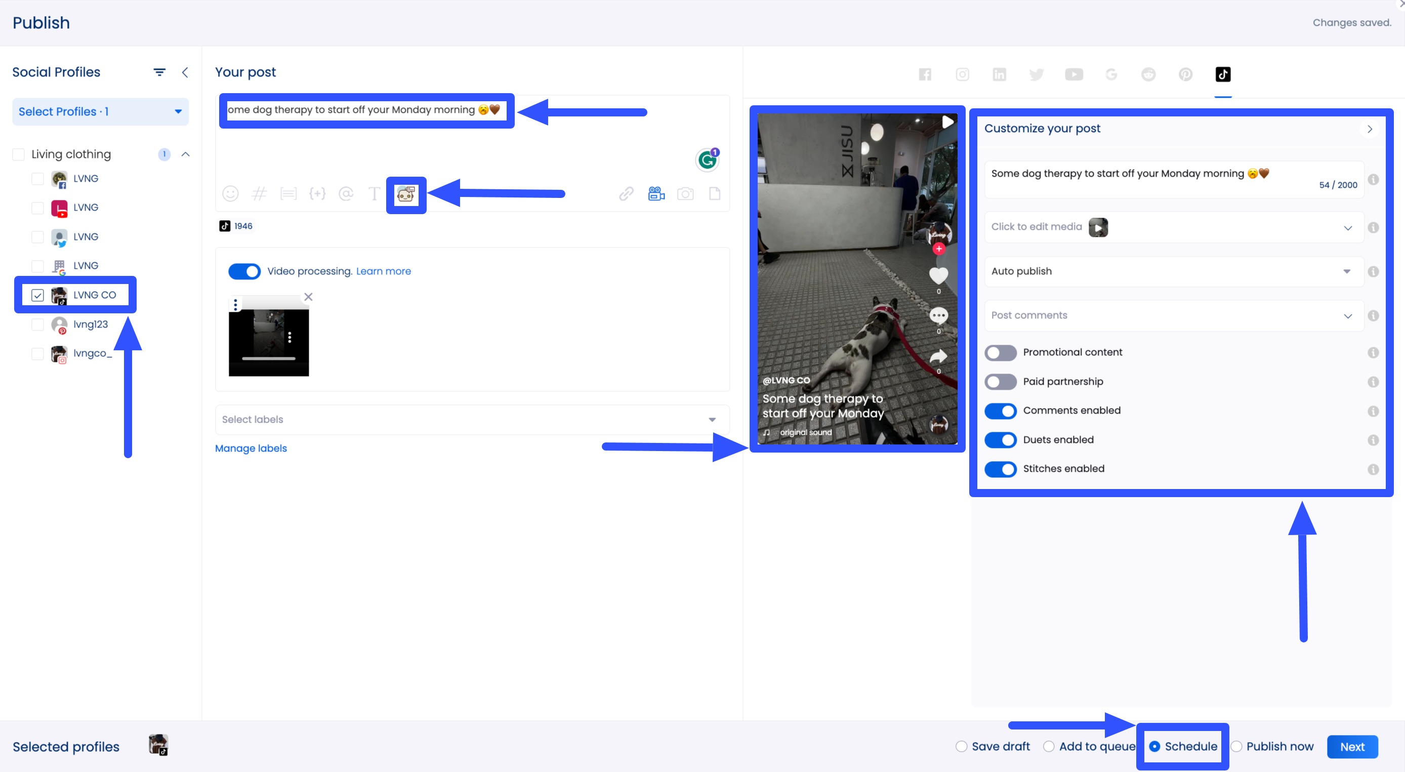 How to Go Viral on TikTok6