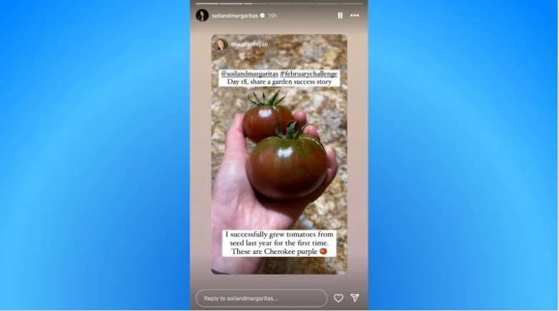 Instagram Story size 1i