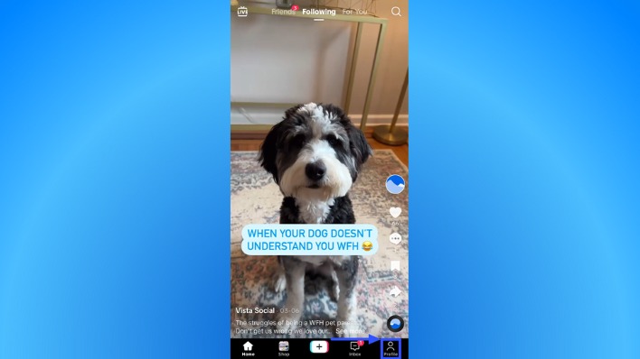 TikTok Creativity Program1