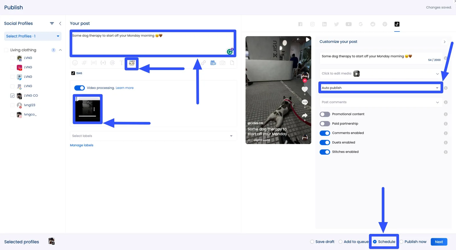 TikTok Creativity Program4