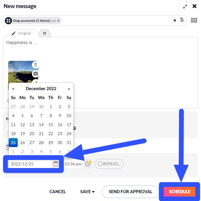 Most Affordable Social Media Scheduler12