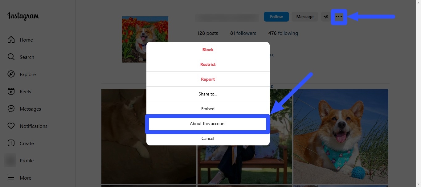 Fake Instagram Accounts1