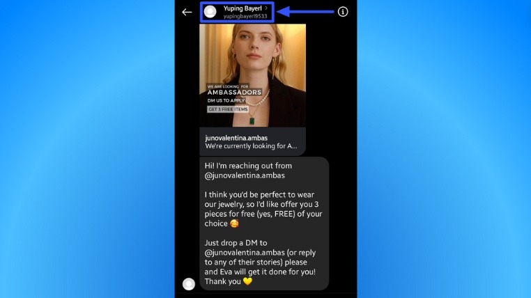 Fake Instagram Accounts2