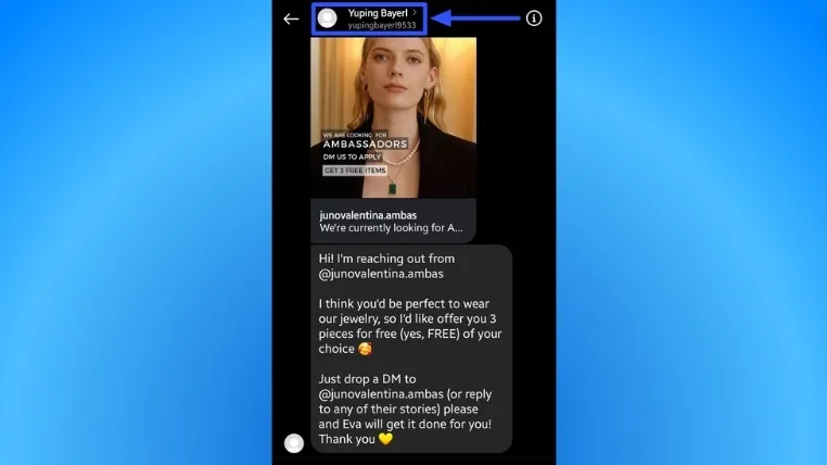 Fake Instagram Accounts2