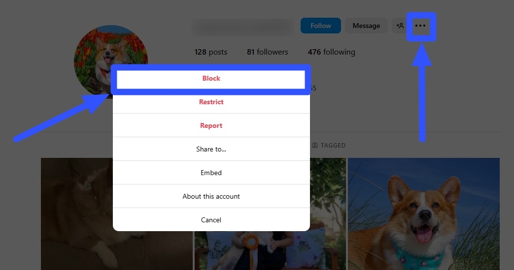 Fake Instagram Accounts3
