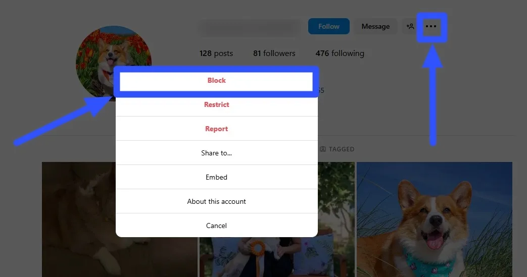 Fake Instagram Accounts3