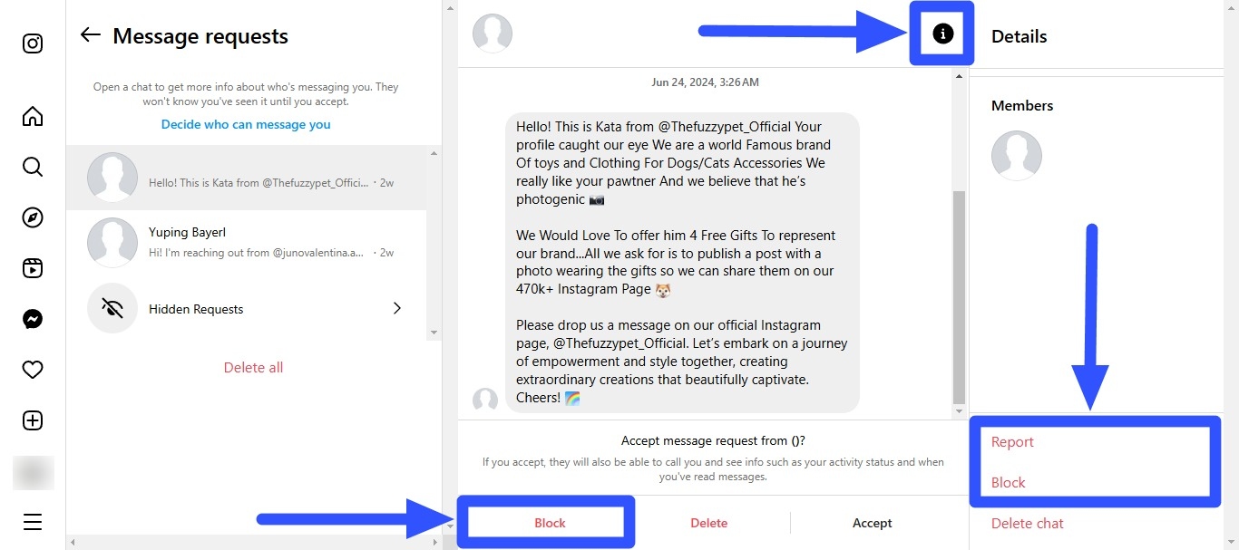Fake Instagram Accounts5