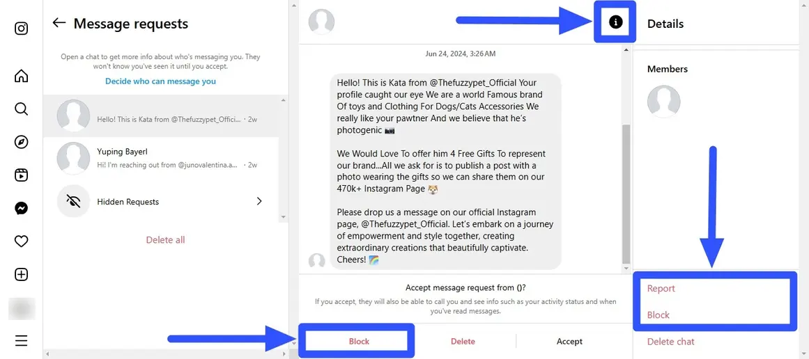 Fake Instagram Accounts5