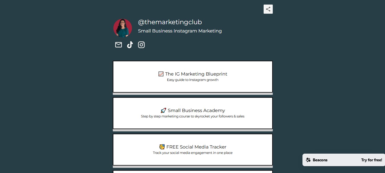 15 Best Link in Bio Tools19