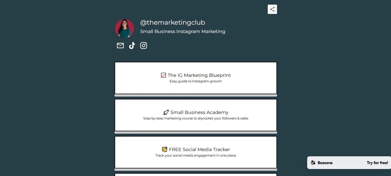 15 Best Link in Bio Tools19