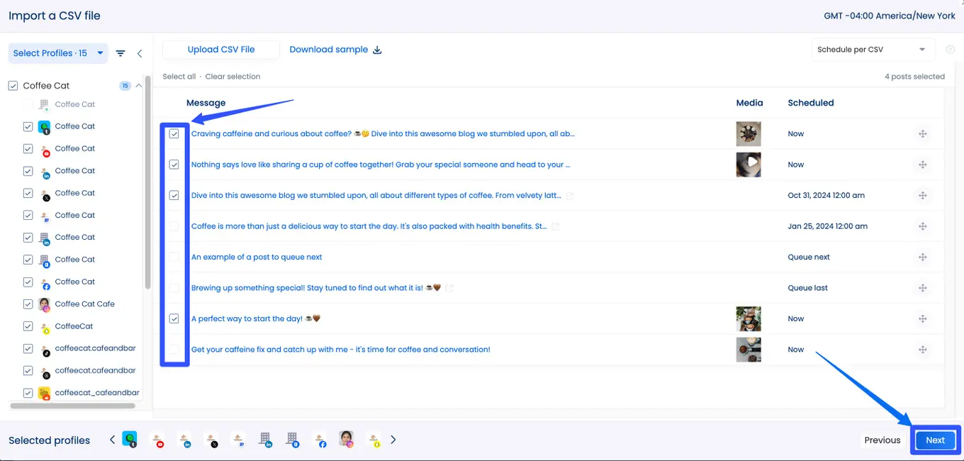Bulk Scheduling Tools5