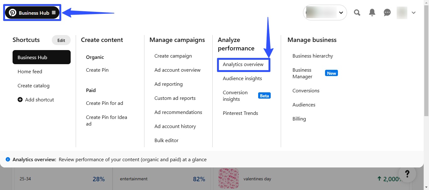 Pinterest Analytics1