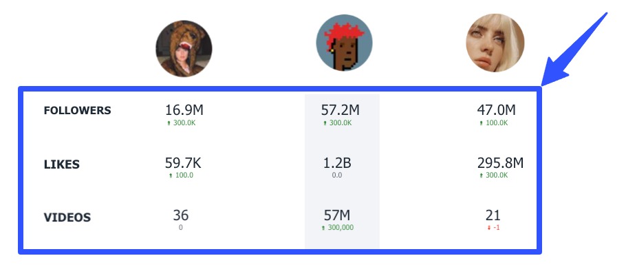 TikTok Analytics Tools13
