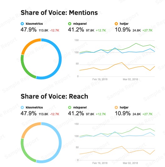 Social Listening Report Examples5
