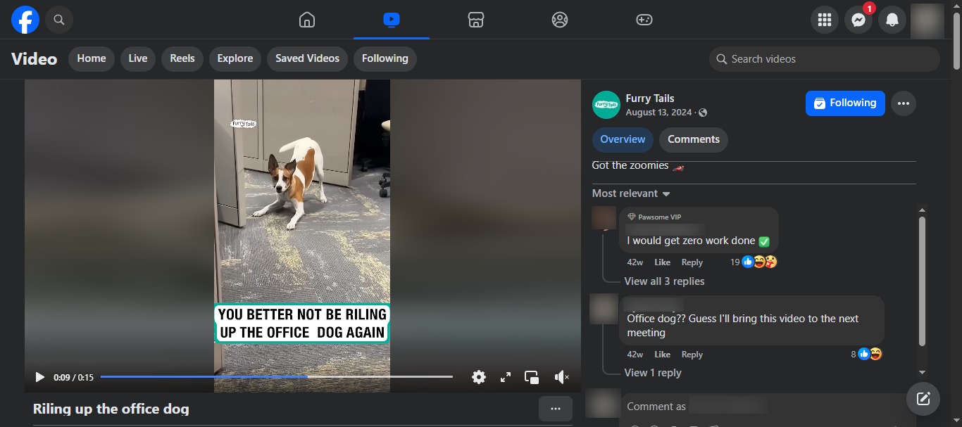 Engagement Post Ideas6