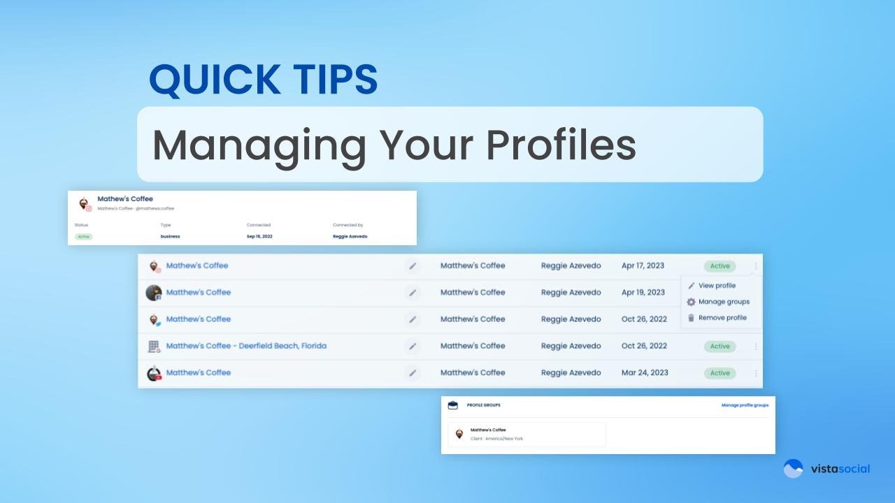 Managing Profiles in your Vista Social Account Managing Profiles in your Vista Social Account
