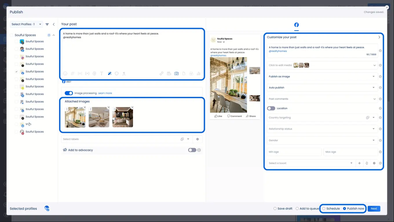 A screenshot showcasing Vista Social's social media publishing feature.