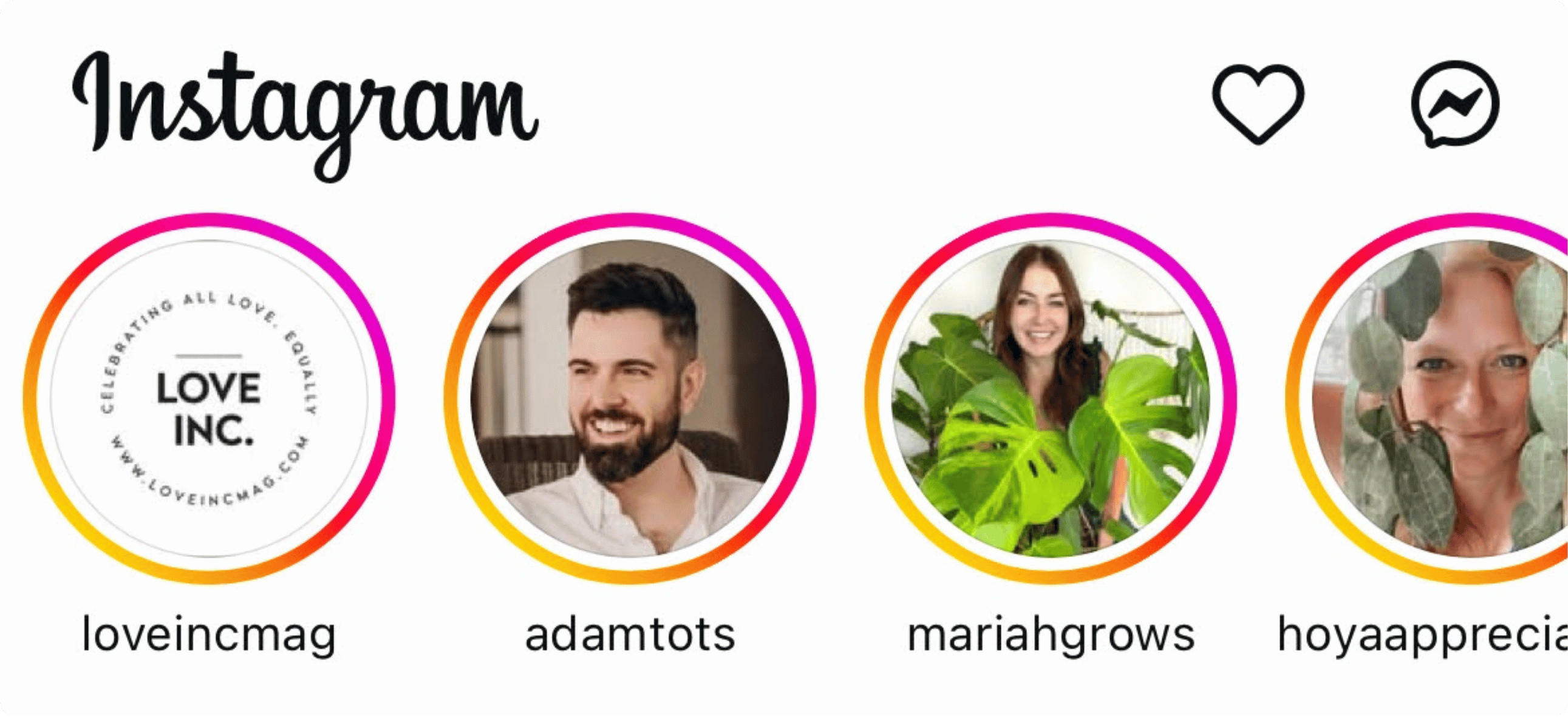 How to Generate Leads with Instagram Stories 3