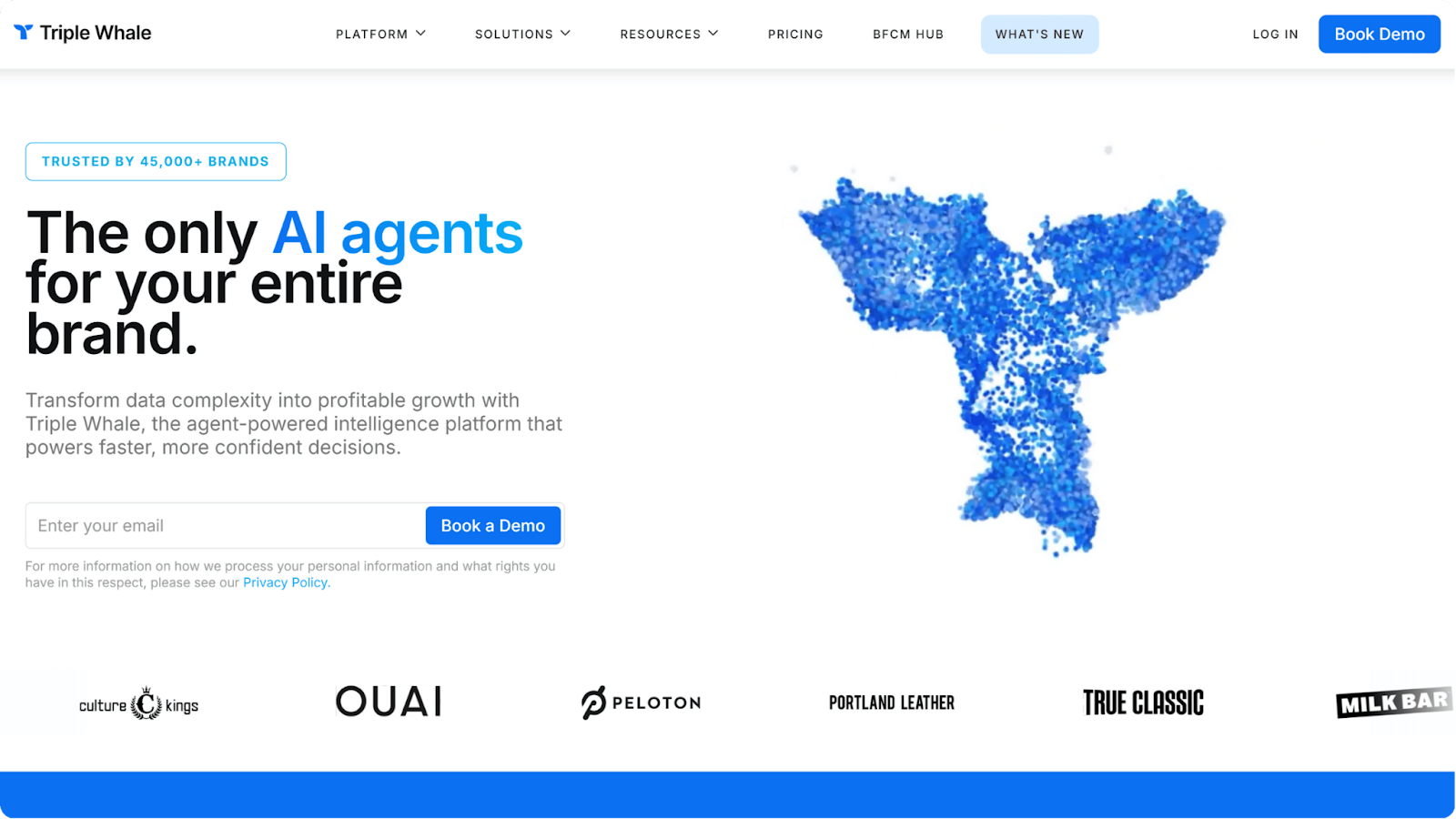 ai marketing tools: triple whale