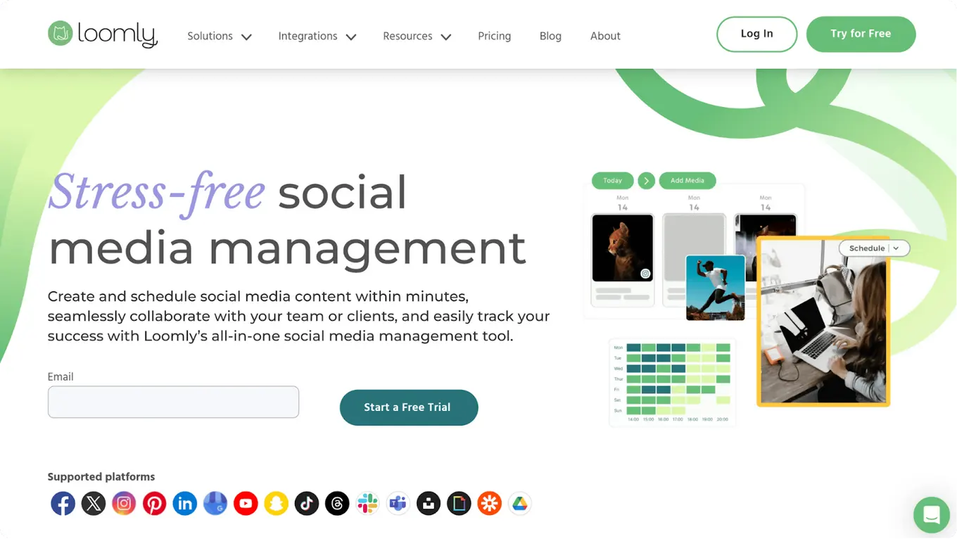 social media marketing tools: loomly