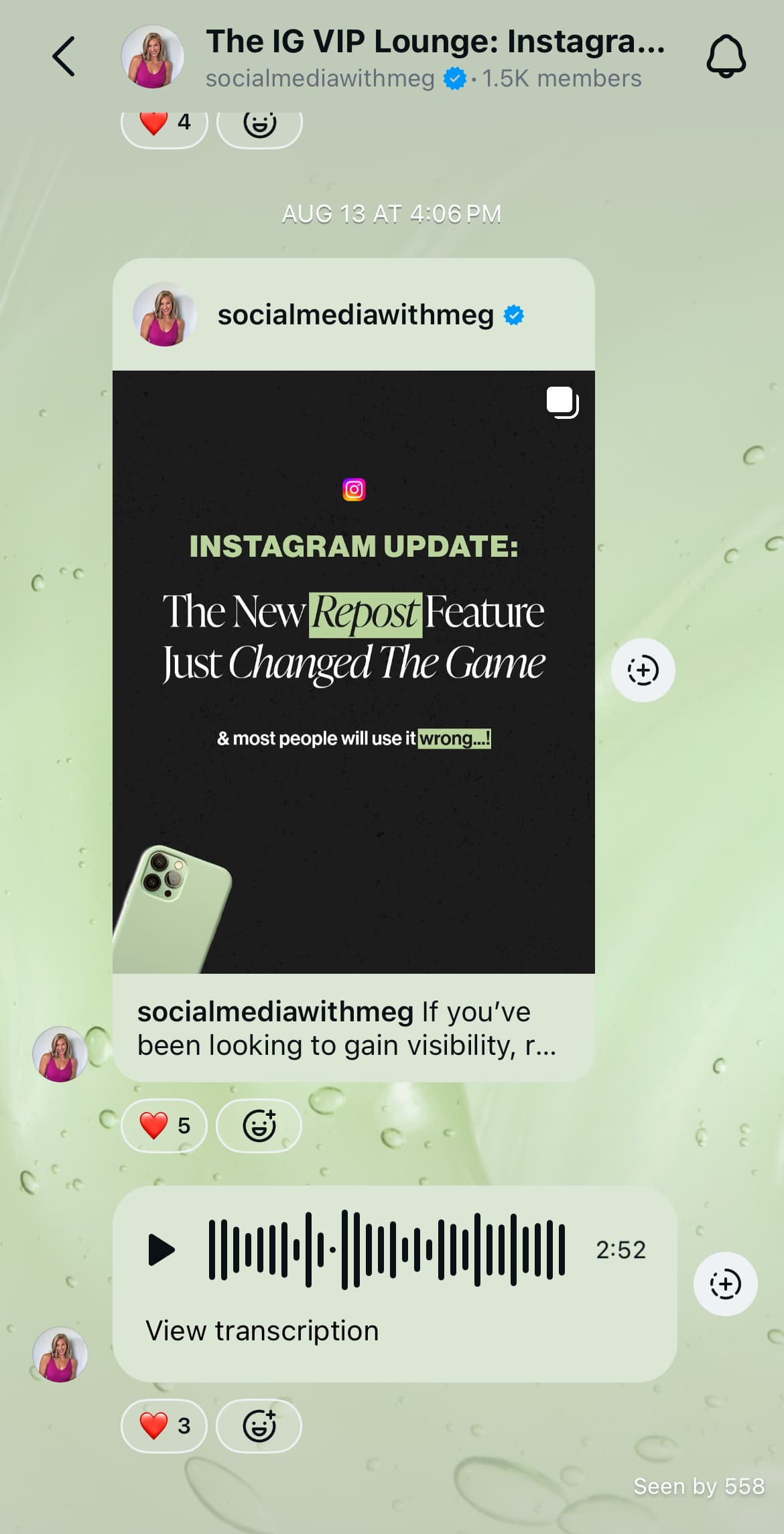 A screenshot of @socialmediawithmeg's Instagram broadcast channel.
