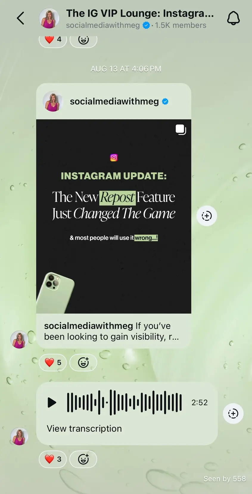 A screenshot of @socialmediawithmeg's Instagram broadcast channel.
