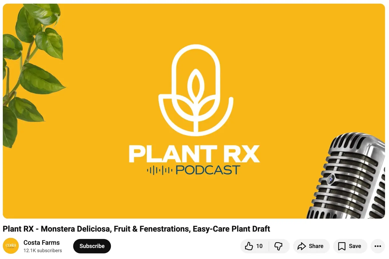 A YouTube video from Costa Farms.