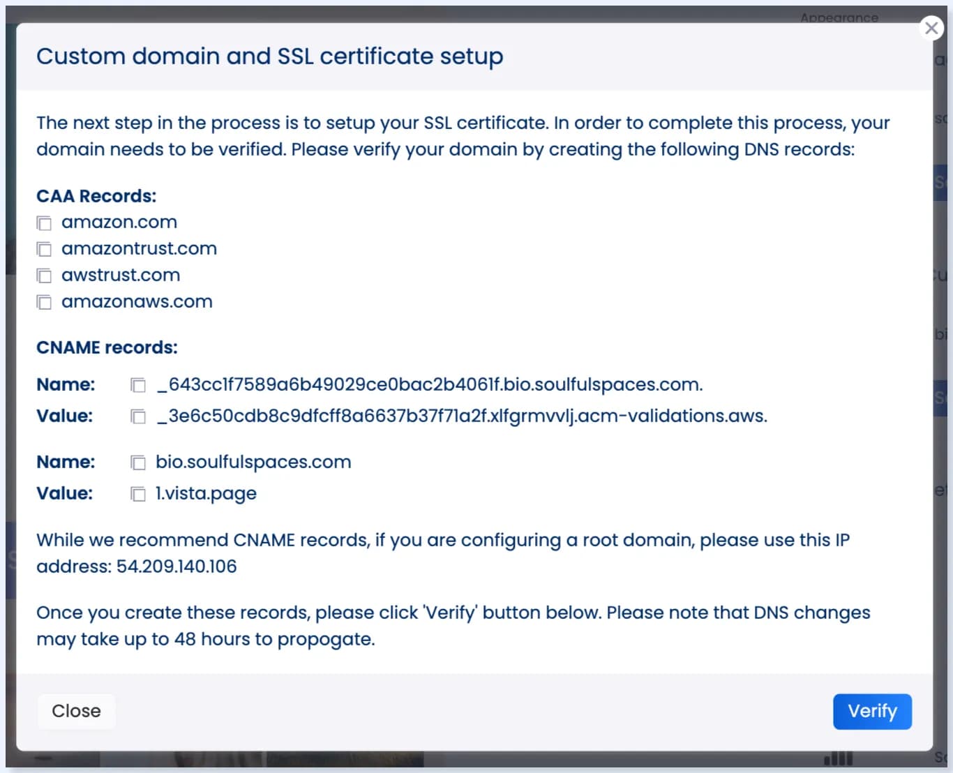 A screenshot showing how to set up your custom domain in Vista Social for white labeling purposes.