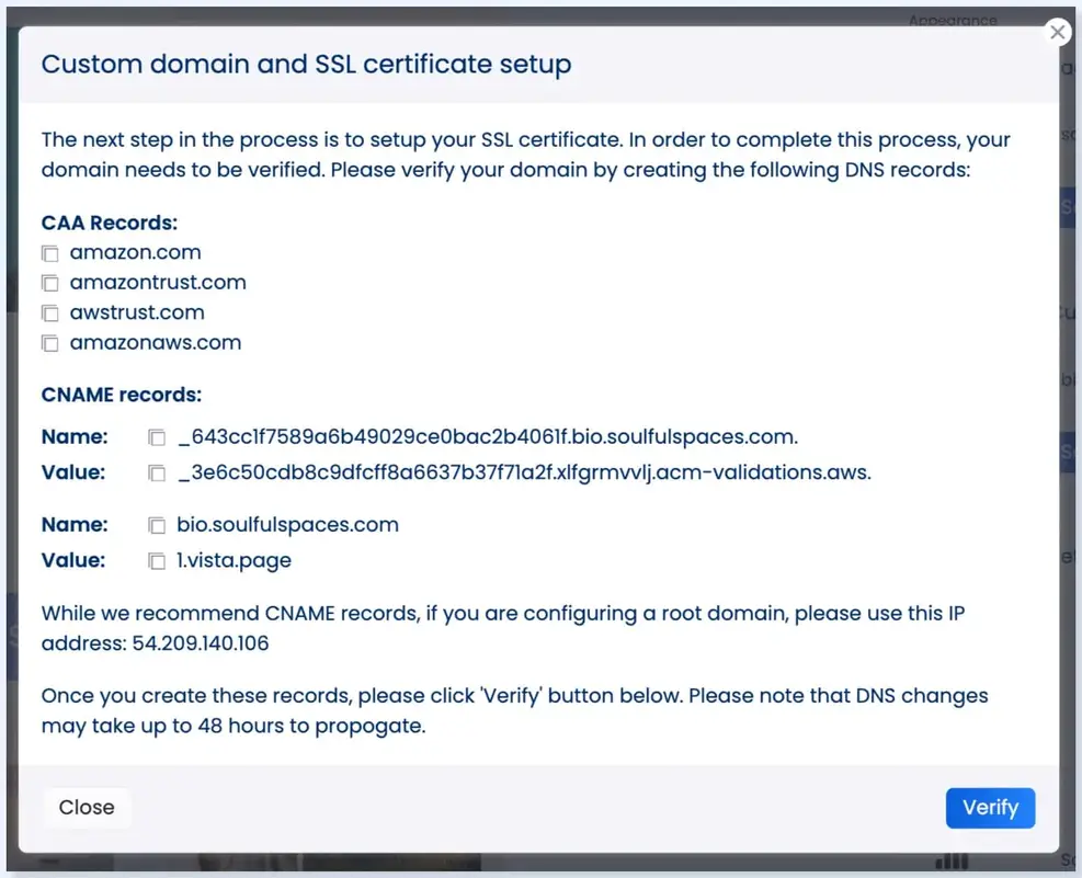 A screenshot showing how to set up your custom domain in Vista Social for white labeling purposes.