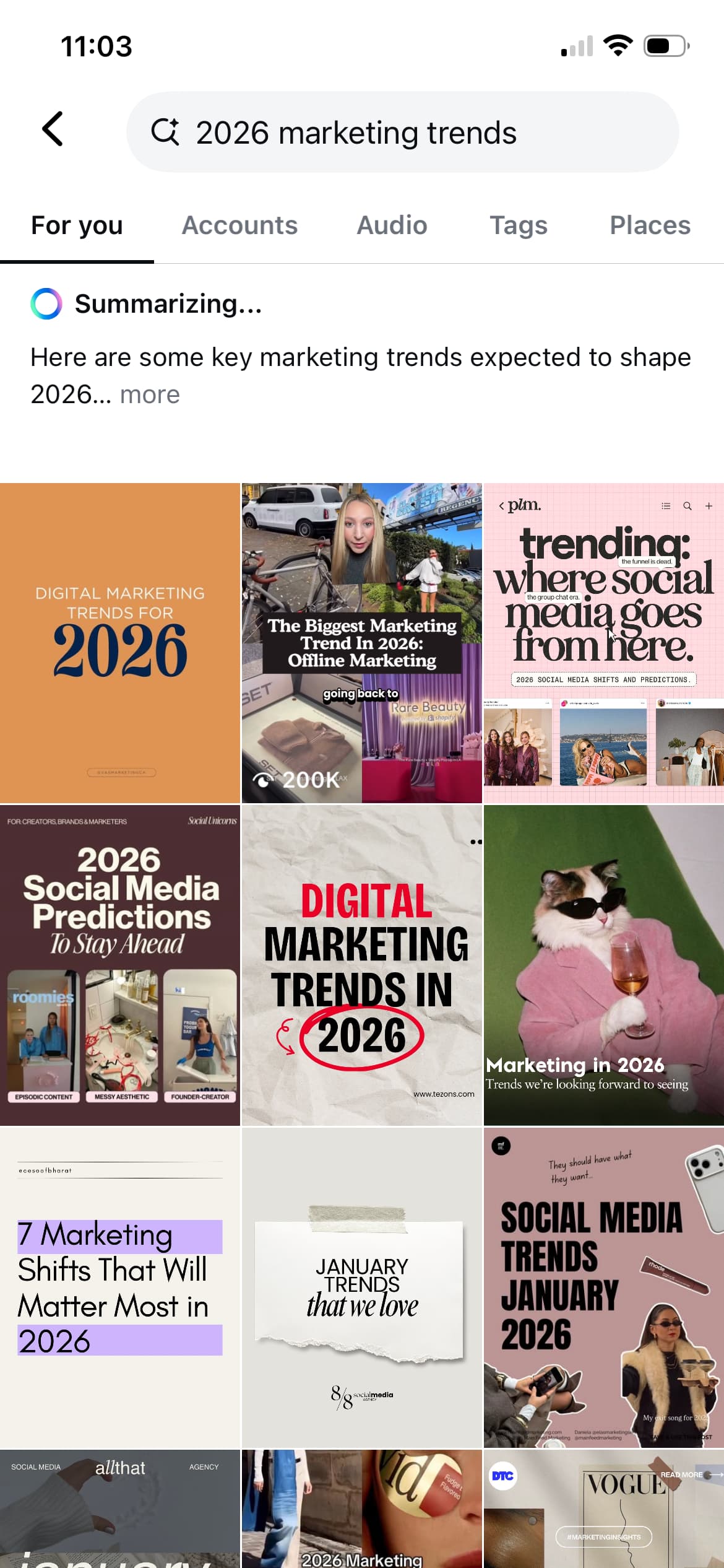 A screenshot of Instagram's search results.