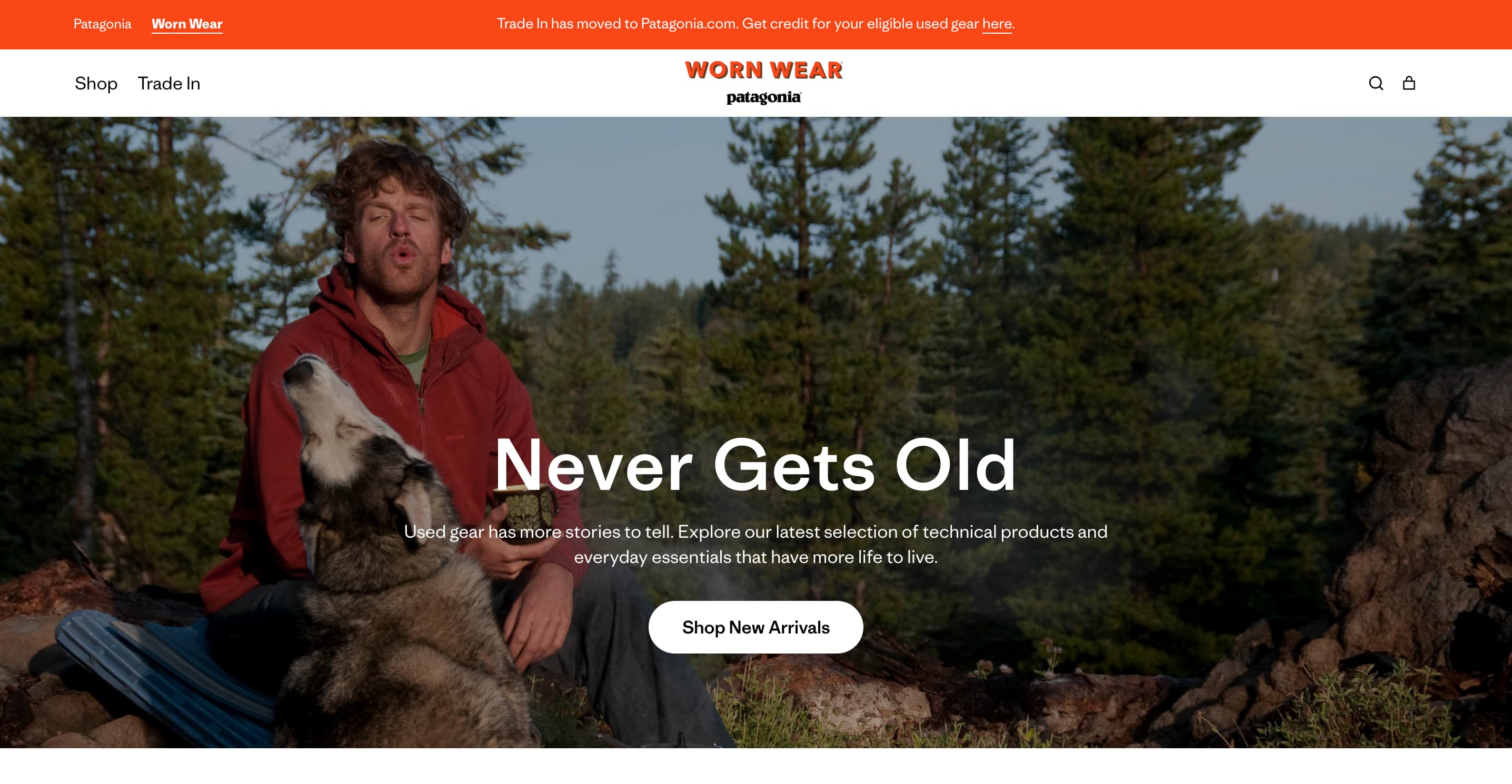 A screenshot of the Patagonia website.