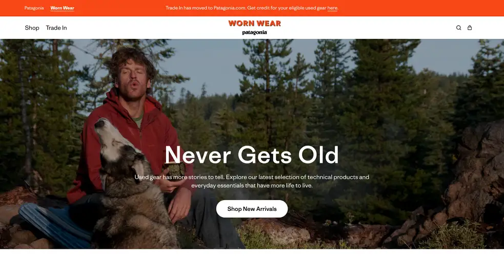 A screenshot of the Patagonia website.