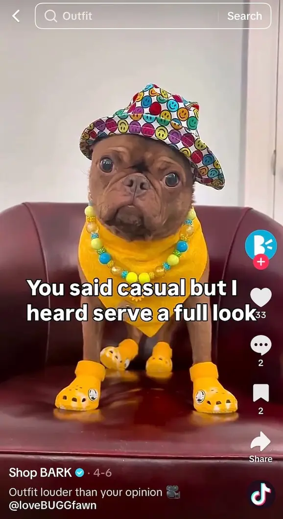 A screenshot of a TikTok a brand shared from a creator.