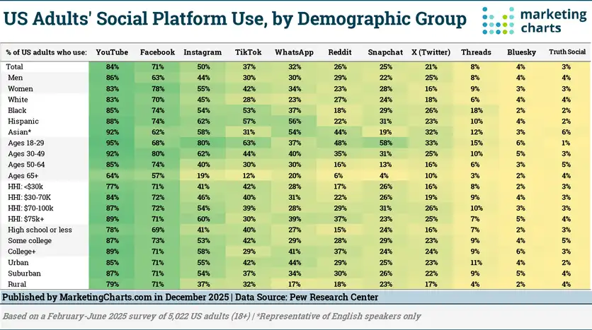 A graph showcasing a breakdown of different social media demographics by platform.