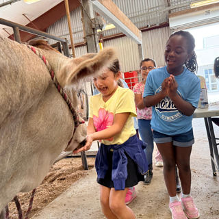 A group of children excitedly feeds a donkey inside a barn. The mood is playful and lively.