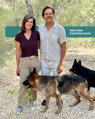 A couple stands together with two dogs in a park-like setting. The mood is relaxed and natural, with dappled sunlight and greenery in the background.