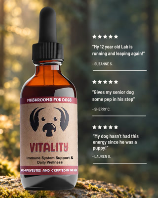 A bottle of Vitality supplement for dogs, featuring testimonials praising its benefits. The background has a warm, natural setting.