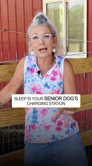 A woman discusses the importance of sleep for senior dogs. She stands in front of a wooden fence and a red building, emphasizing the vital role of rest for older pets.