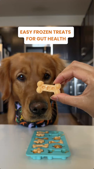 A golden retriever eagerly looks at a bone-shaped frozen treat designed for gut health. The homemade treats are displayed in a silicone mold, with a text overlay highlighting their simplicity and health benefits.