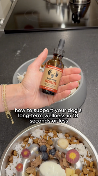 A hand holds a bottle of dog wellness supplement above a bowl of dog food. The scene suggests a focus on pet health.
