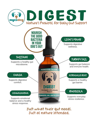 Promotional image for Mycodog's Digest, a prebiotic supplement for dog gut health, featuring a tincture bottle with ingredient benefits.