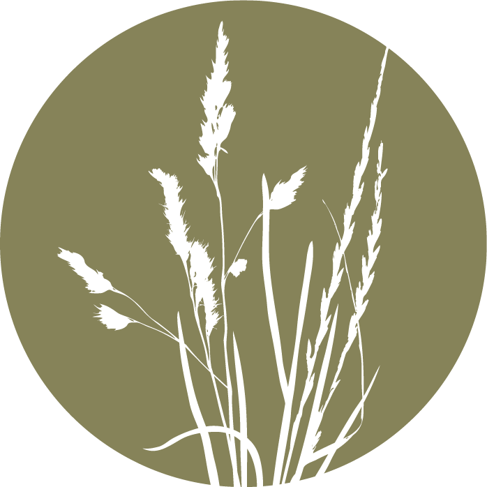The Tributary | A Sustainable Community