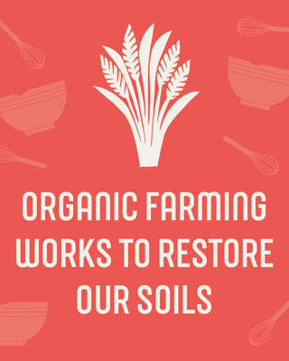 A bold red poster promoting organic farming with a central white graphic of wheat and text emphasizing soil restoration. The design includes cooking elements like bowls and whisks, enhancing the agricultural theme.