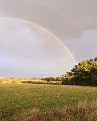 A serene landscape with a prominent rainbow arching over a grassy field and distant trees. The scene conveys a calm and peaceful mood, perfect for themes of nature and tranquility.