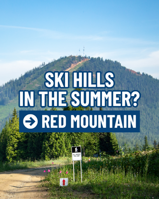 A scenic view of a mountain in summer with a hiking trail sign. Text overlay promotes summer activities at Red Mountain.